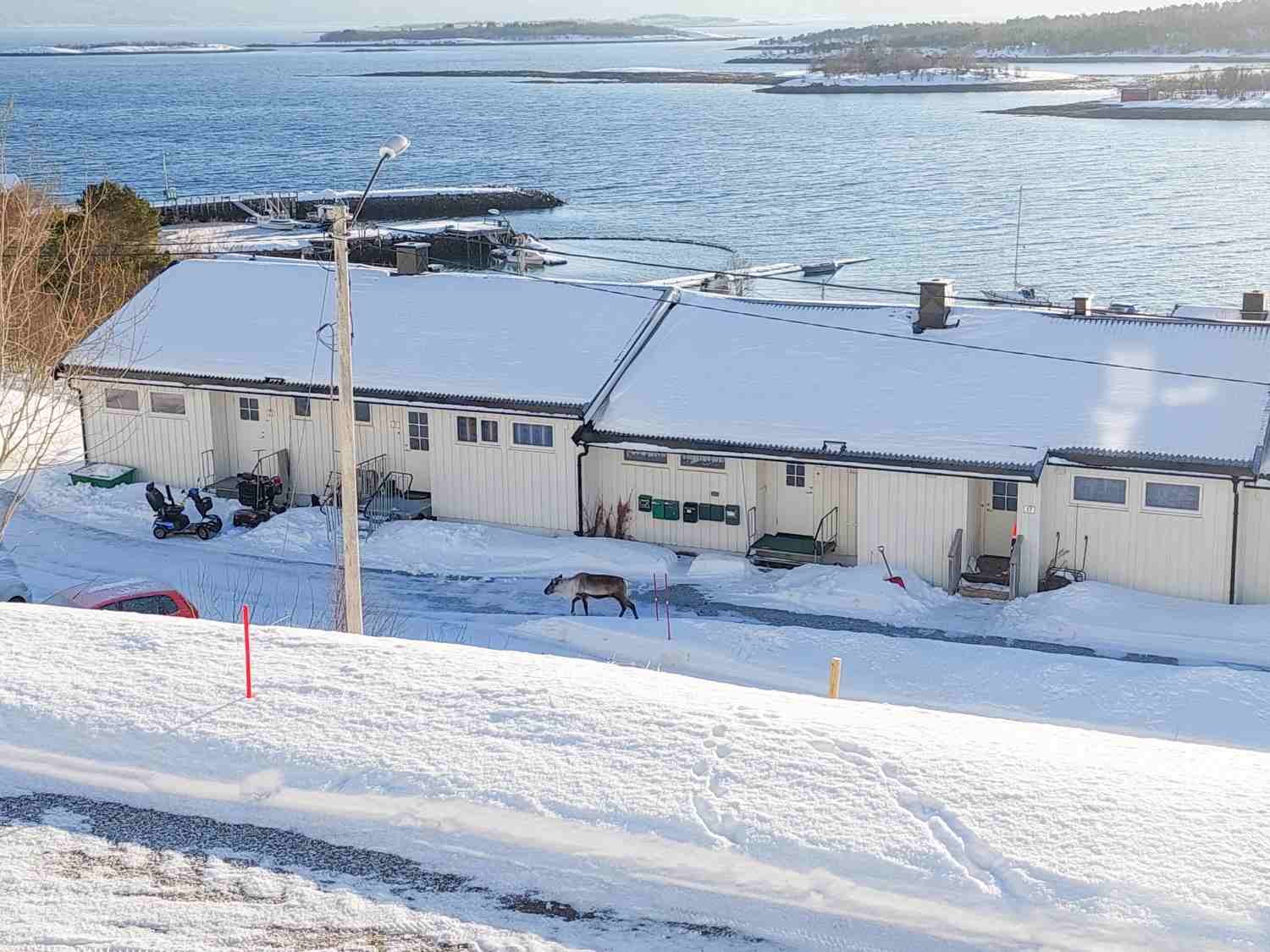 37D Stonglandseidet